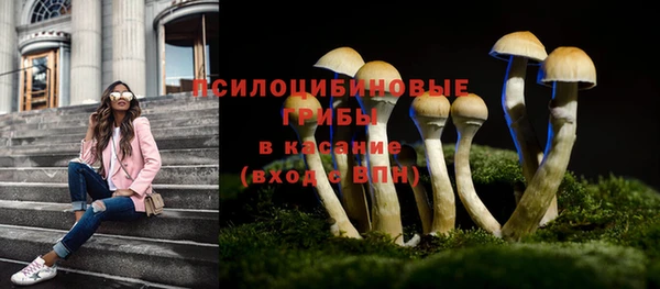 СК Абдулино