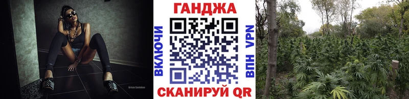 где купить   Фокино  Каннабис VHQ 